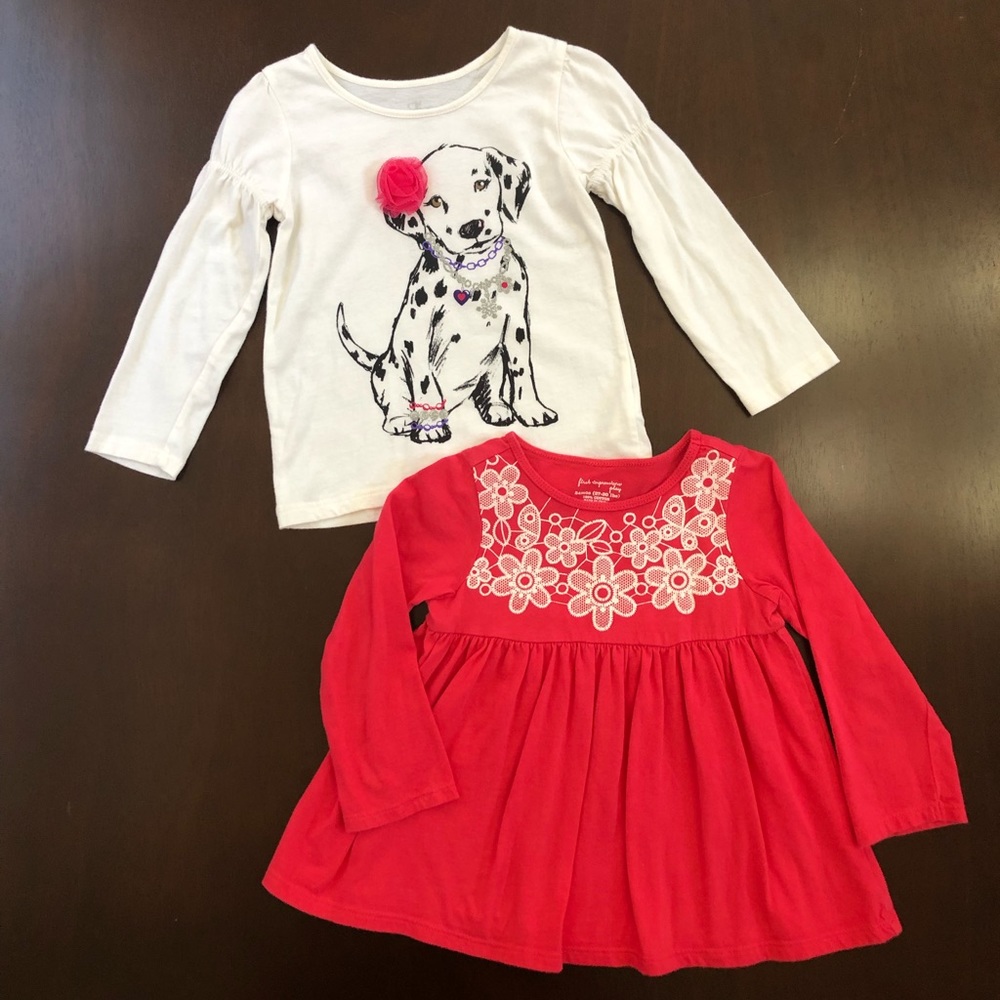 Bundle of 2 long sleeve tops for toddler girl